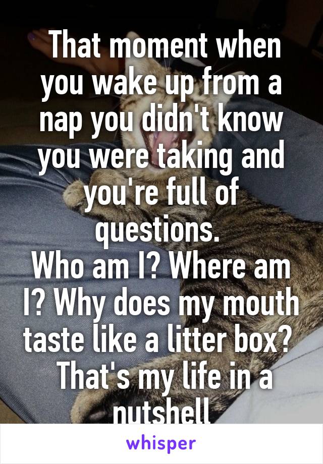  That moment when you wake up from a nap you didn't know you were taking and you're full of questions. 
Who am I? Where am I? Why does my mouth taste like a litter box? 
 That's my life in a nutshell