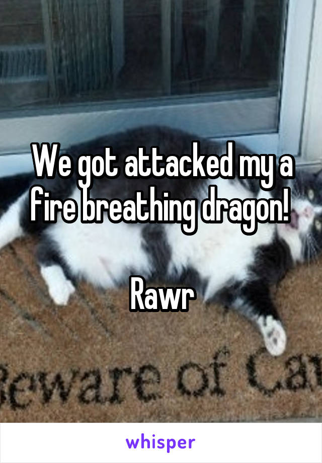 We got attacked my a fire breathing dragon! 

Rawr