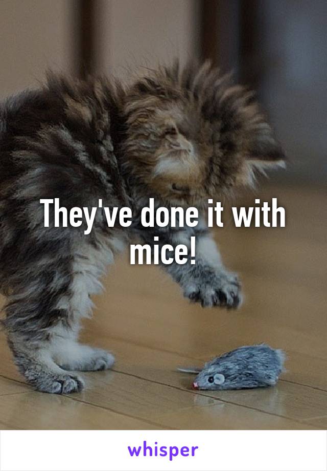 They've done it with mice!