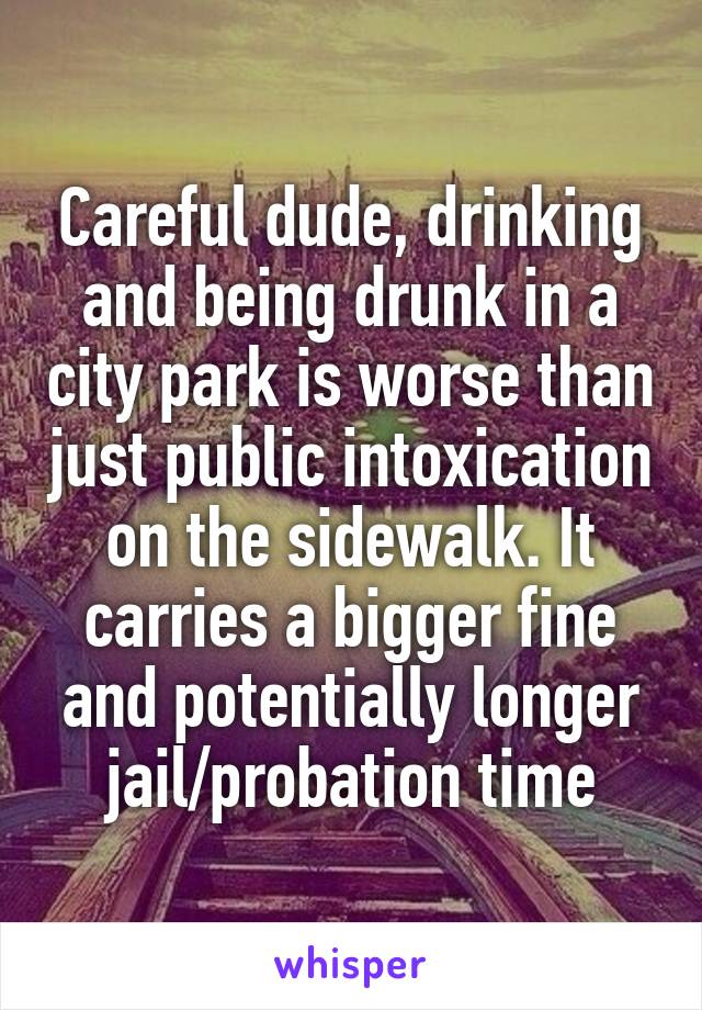 Careful dude, drinking and being drunk in a city park is worse than just public intoxication on the sidewalk. It carries a bigger fine and potentially longer jail/probation time