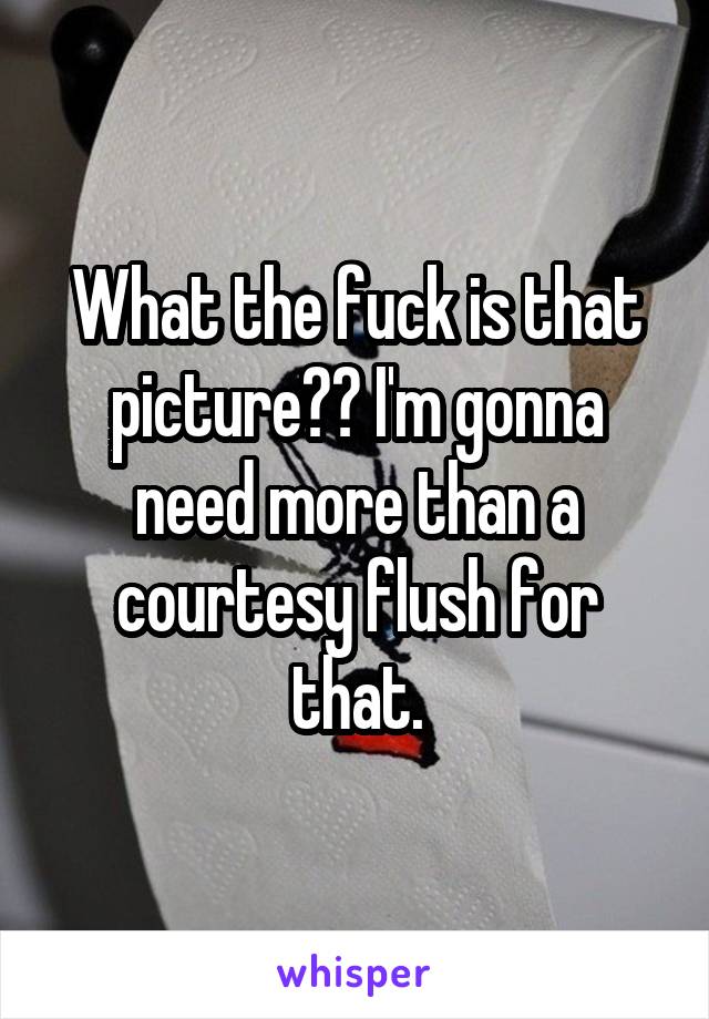 What the fuck is that picture?? I'm gonna need more than a courtesy flush for that.