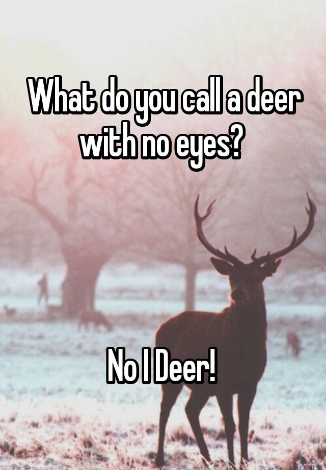 what-do-you-call-a-deer-with-no-eyes-no-i-deer