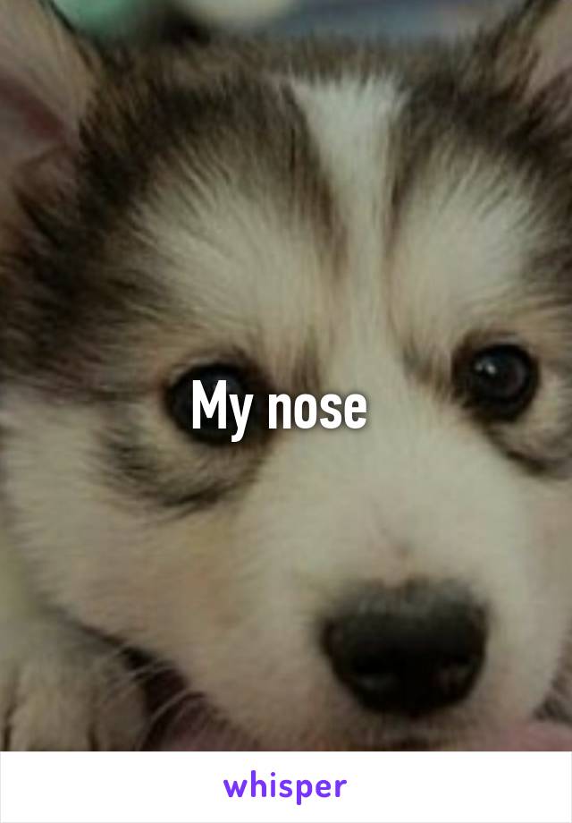 My nose 