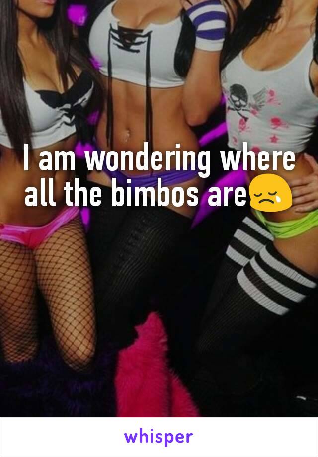 I am wondering where all the bimbos are😢