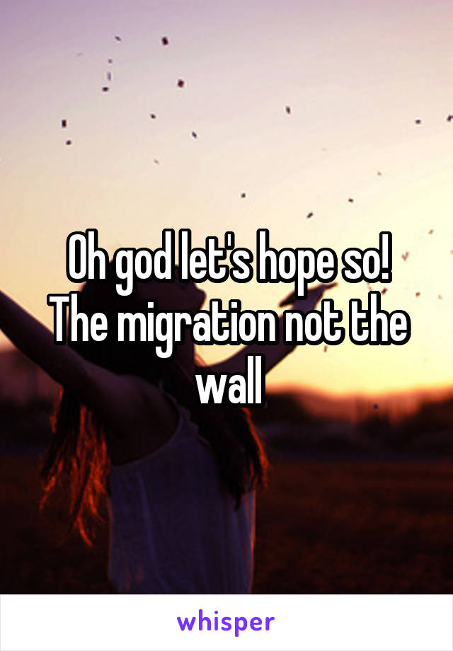 Oh god let's hope so!
The migration not the wall