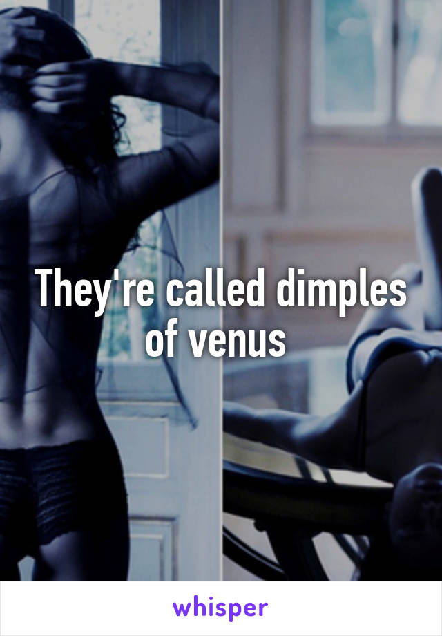 They're called dimples of venus 