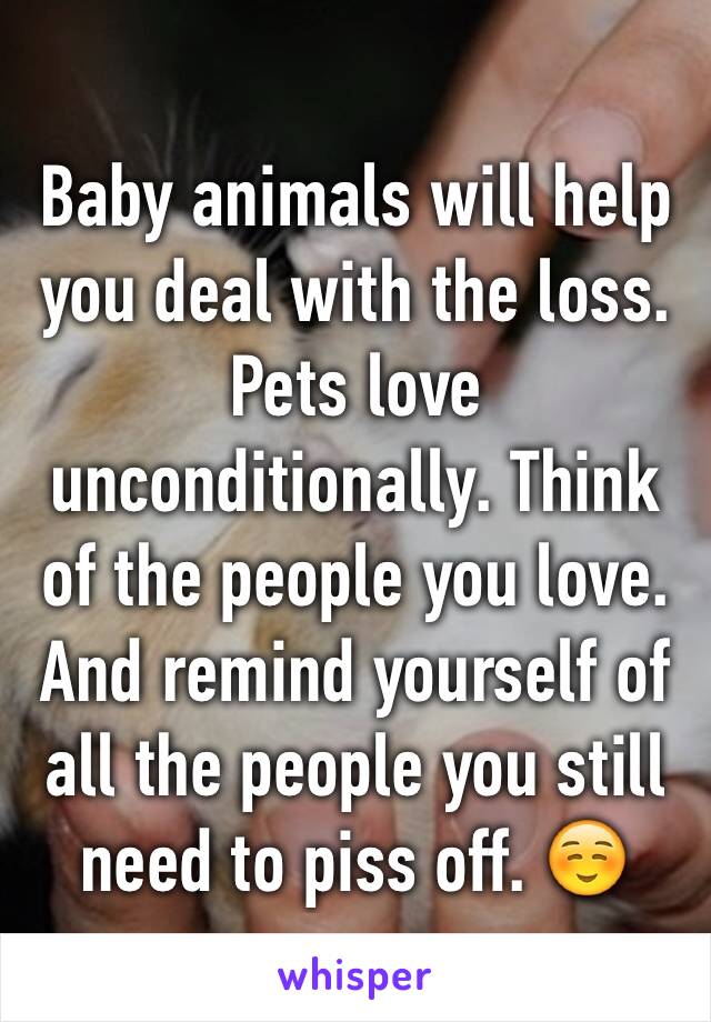 Baby animals will help you deal with the loss. Pets love unconditionally. Think of the people you love. And remind yourself of all the people you still need to piss off. ☺️