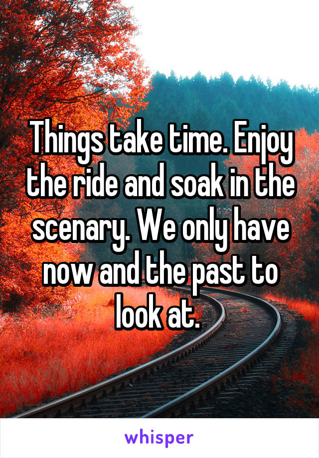 Things take time. Enjoy the ride and soak in the scenary. We only have now and the past to look at. 