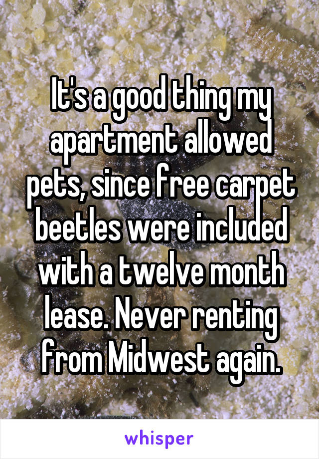 It's a good thing my apartment allowed pets, since free carpet beetles were included with a twelve month lease. Never renting from Midwest again.