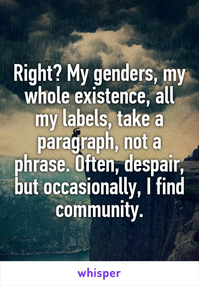 Right? My genders, my whole existence, all my labels, take a paragraph, not a phrase. Often, despair, but occasionally, I find community.