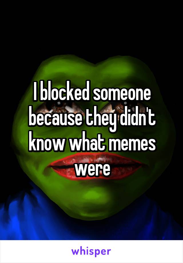 I blocked someone because they didn't know what memes were