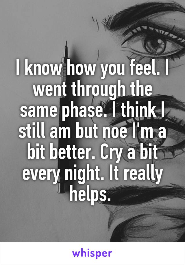 I know how you feel. I went through the same phase. I think I still am but noe I'm a bit better. Cry a bit every night. It really helps. 