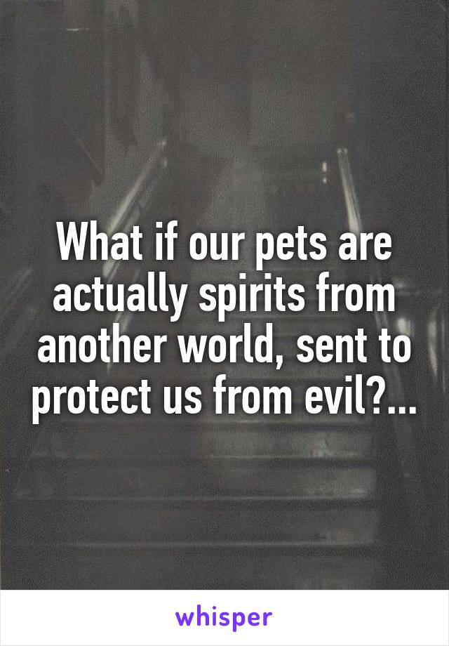What if our pets are actually spirits from another world, sent to protect us from evil?...