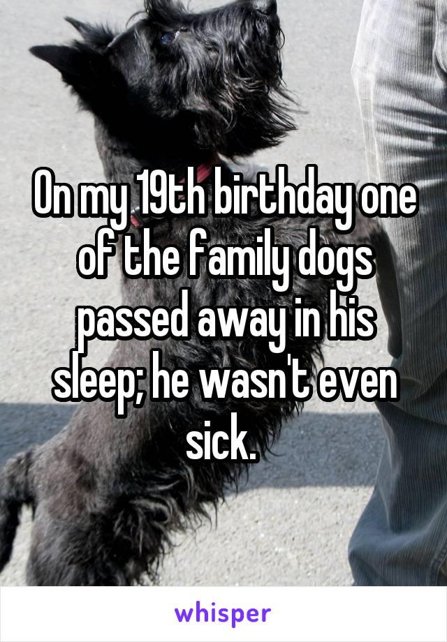 On my 19th birthday one of the family dogs passed away in his sleep; he wasn't even sick. 