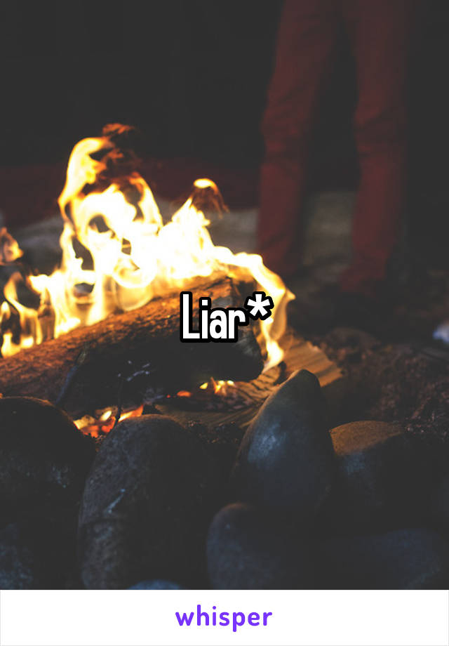 Liar*