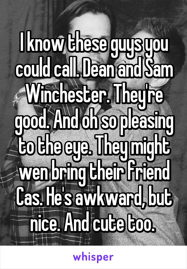 I know these guys you could call. Dean and Sam Winchester. They're good. And oh so pleasing to the eye. They might wen bring their friend Cas. He's awkward, but nice. And cute too. 