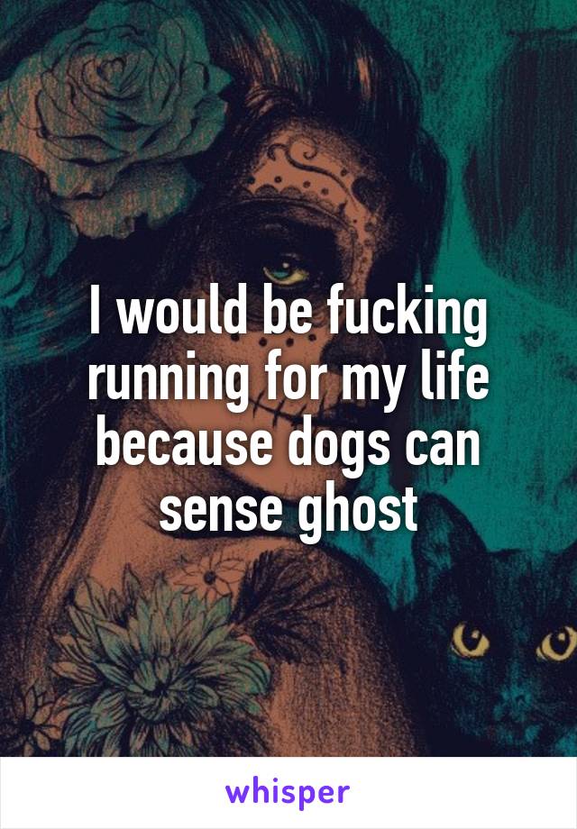 I would be fucking running for my life because dogs can sense ghost