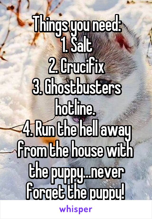 Things you need:
1. Salt
2. Crucifix
3. Ghostbusters hotline. 
4. Run the hell away from the house with  the puppy…never forget the puppy! 