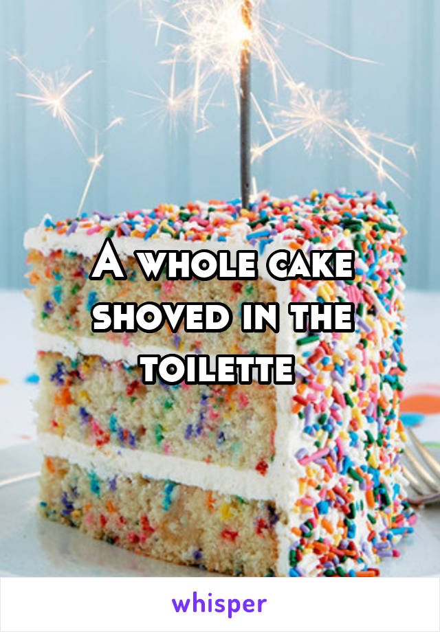 A whole cake shoved in the toilette 