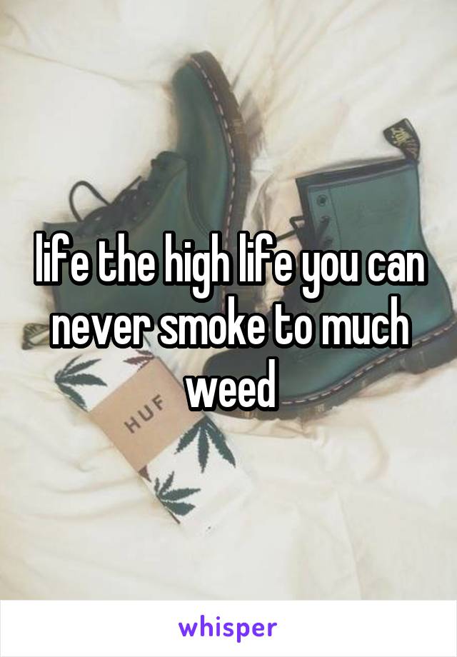 life the high life you can never smoke to much weed