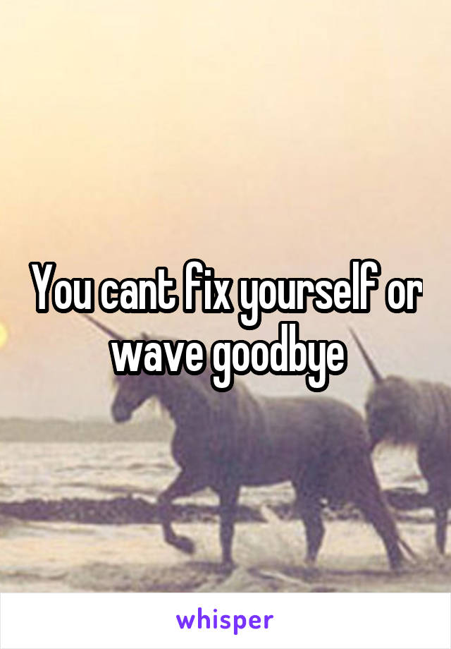You cant fix yourself or wave goodbye