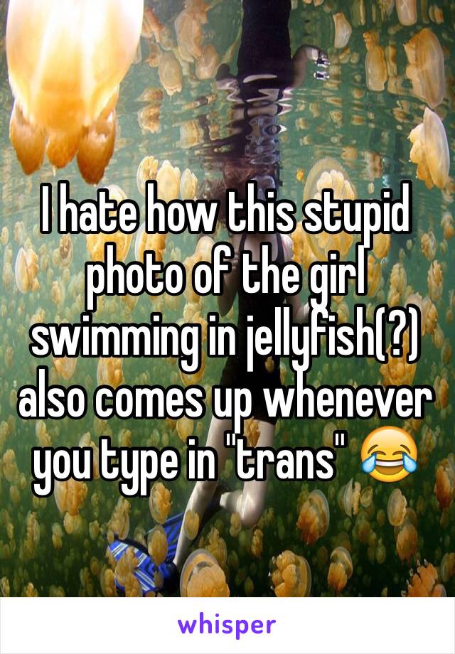 I hate how this stupid photo of the girl swimming in jellyfish(?) also comes up whenever you type in "trans" 😂