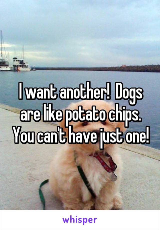 I want another!  Dogs are like potato chips. You can't have just one!