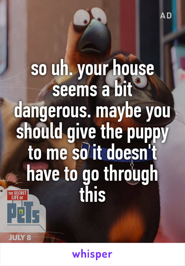 so uh. your house seems a bit dangerous. maybe you should give the puppy to me so it doesn't have to go through this