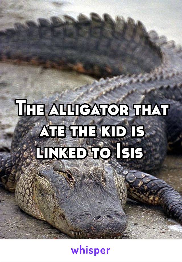 The alligator that ate the kid is linked to Isis 