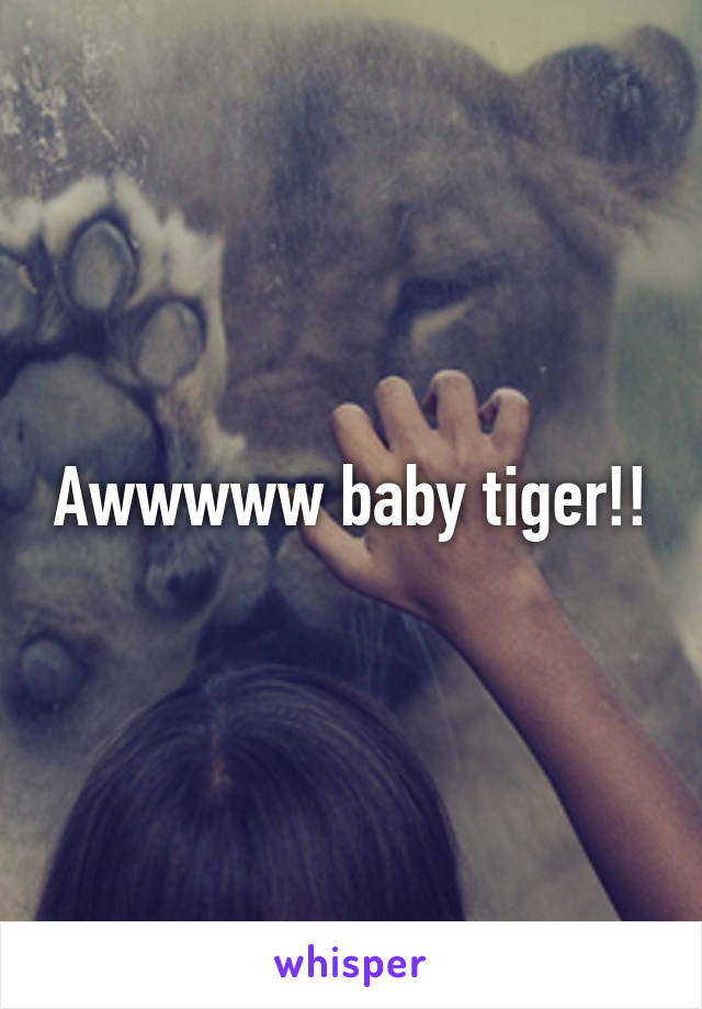 Awwwww baby tiger!!