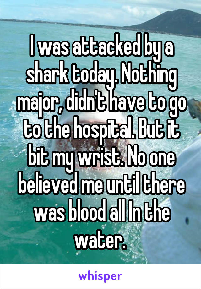 I was attacked by a shark today. Nothing major, didn't have to go to the hospital. But it bit my wrist. No one believed me until there was blood all In the water. 