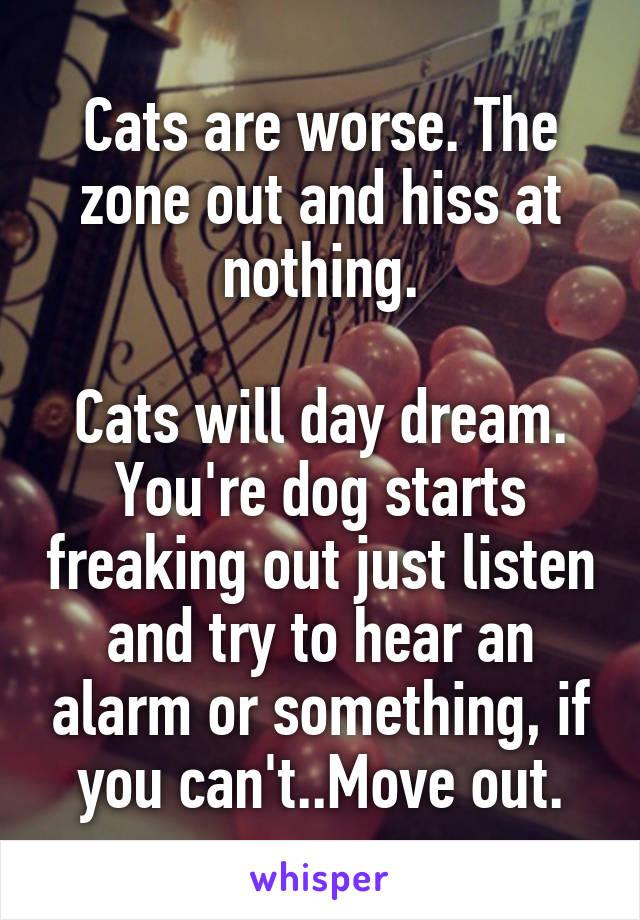 Cats are worse. The zone out and hiss at nothing.

Cats will day dream. You're dog starts freaking out just listen and try to hear an alarm or something, if you can't..Move out.
