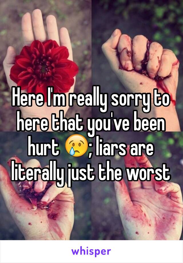 Here I'm really sorry to here that you've been hurt 😢; liars are literally just the worst