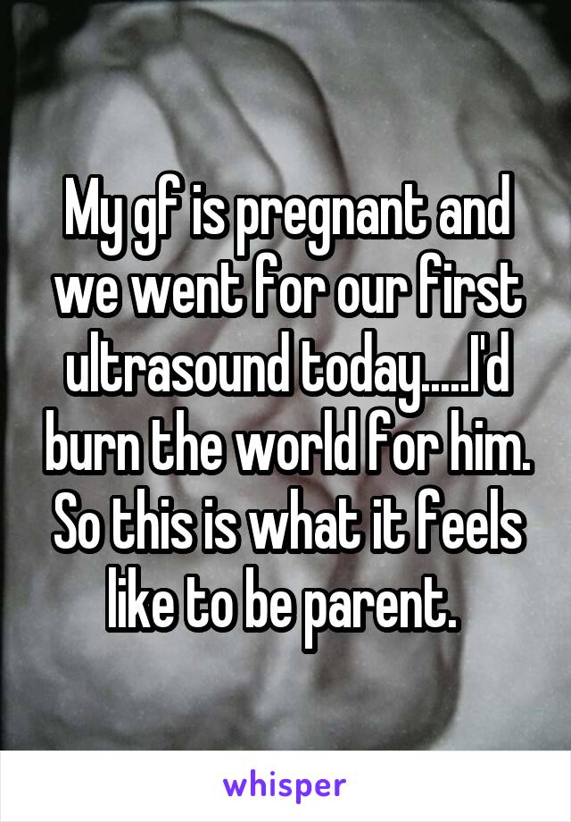 My gf is pregnant and we went for our first ultrasound today.....I'd burn the world for him. So this is what it feels like to be parent. 