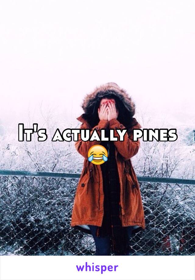 It's actually pines 😂