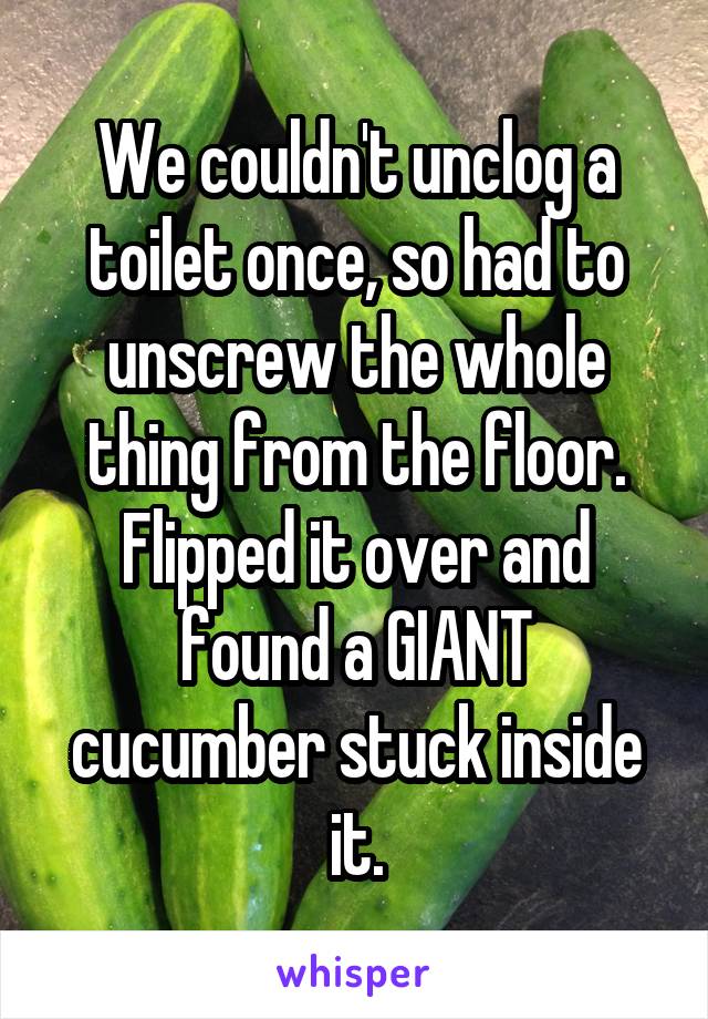 We couldn't unclog a toilet once, so had to unscrew the whole thing from the floor. Flipped it over and found a GIANT cucumber stuck inside it.