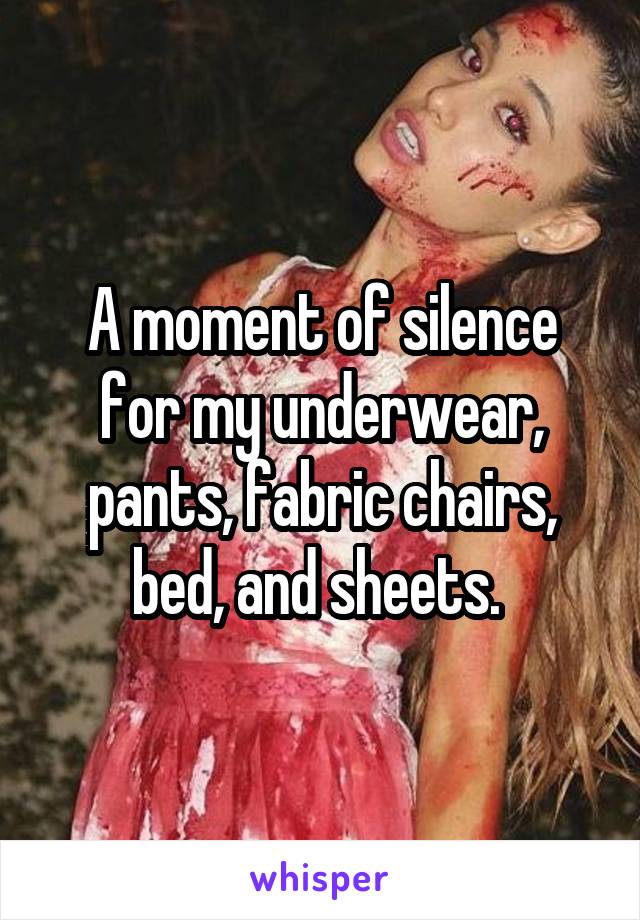 A moment of silence for my underwear, pants, fabric chairs, bed, and sheets. 