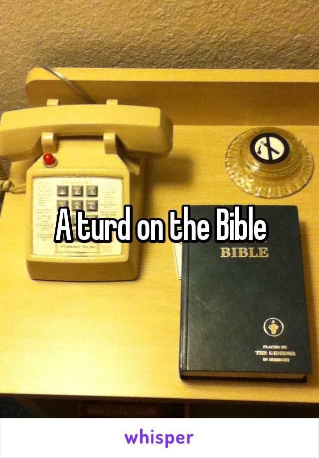 A turd on the Bible