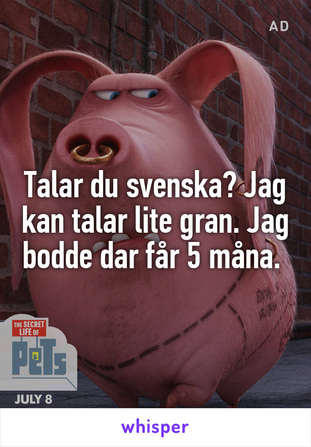 Talar du svenska? Jag kan talar lite gran. Jag bodde dar får 5 måna. 