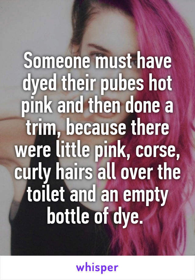 Someone must have dyed their pubes hot pink and then done a trim, because there were little pink, corse, curly hairs all over the toilet and an empty bottle of dye. 