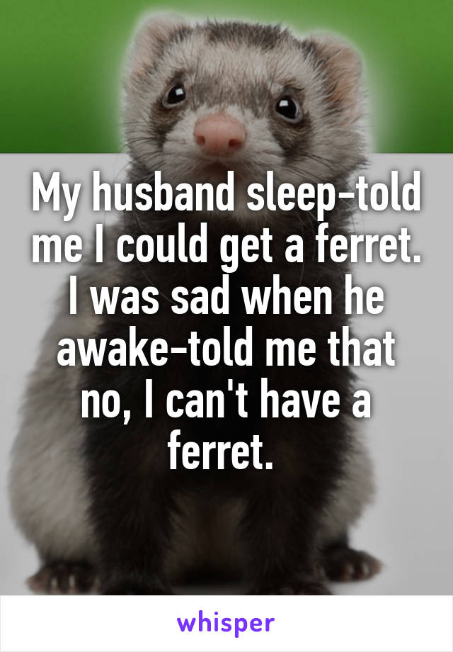 My husband sleep-told me I could get a ferret.
I was sad when he awake-told me that no, I can't have a ferret. 