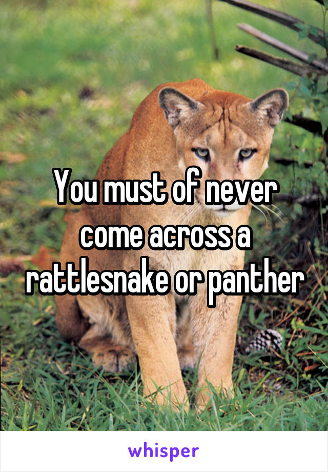 You must of never come across a rattlesnake or panther