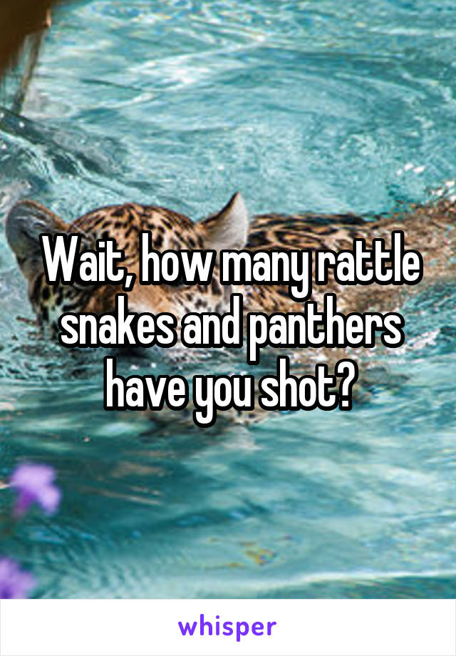 Wait, how many rattle snakes and panthers have you shot?