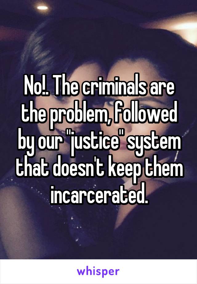 No!. The criminals are the problem, followed by our "justice" system that doesn't keep them incarcerated.