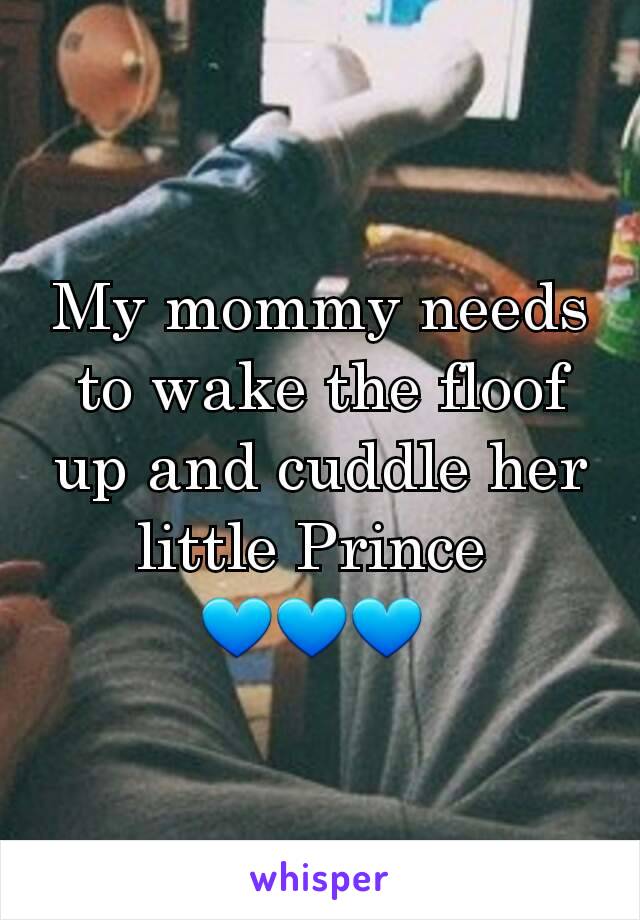 My mommy needs to wake the floof up and cuddle her little Prince 
💙💙💙 