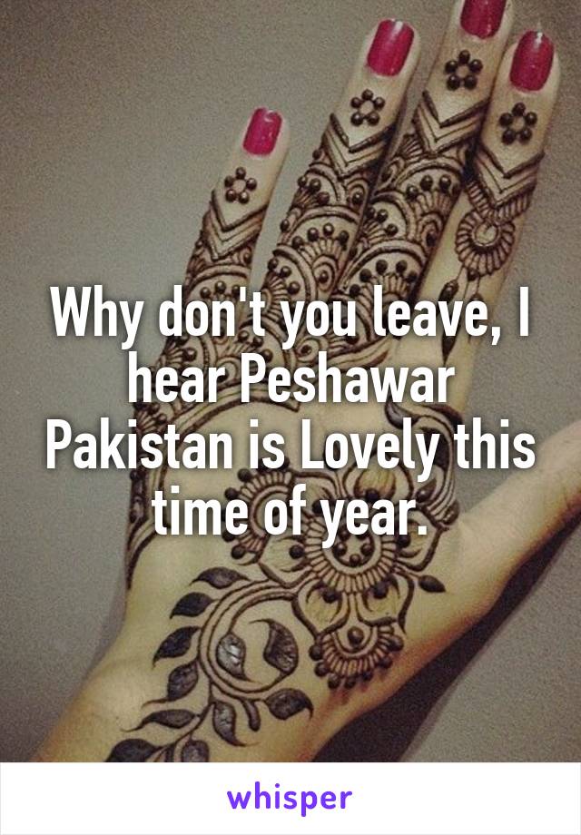 Why don't you leave, I hear Peshawar Pakistan is Lovely this time of year.