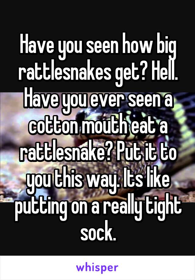 Have you seen how big rattlesnakes get? Hell. Have you ever seen a cotton mouth eat a rattlesnake? Put it to you this way. Its like putting on a really tight sock.