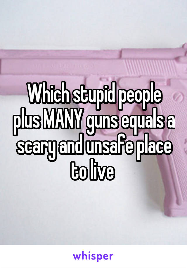 Which stupid people plus MANY guns equals a scary and unsafe place to live 