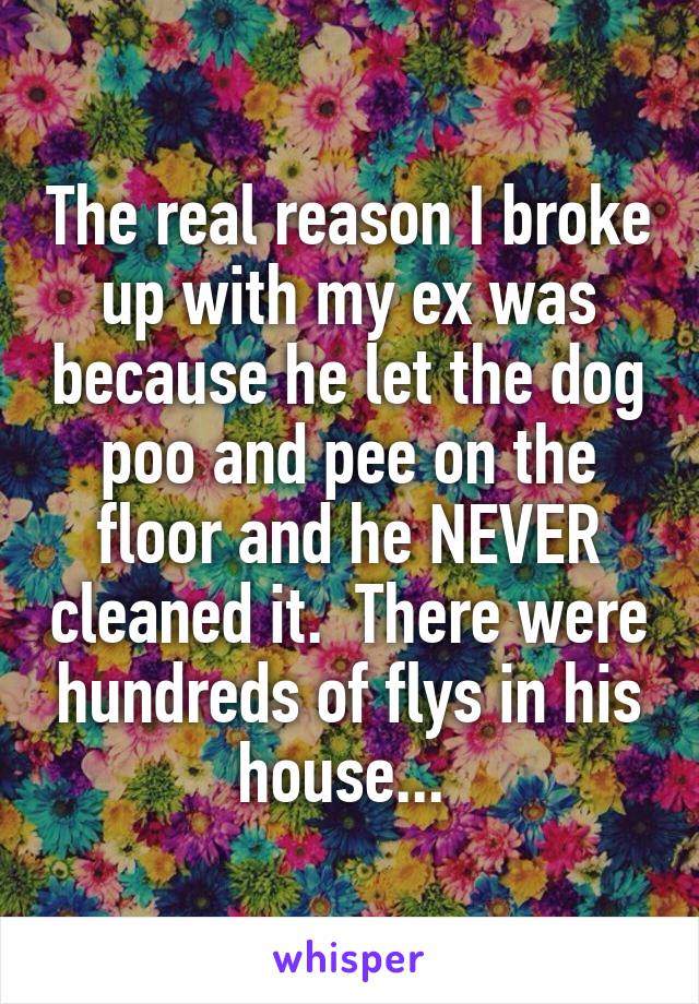 The real reason I broke up with my ex was because he let the dog poo and pee on the floor and he NEVER cleaned it.  There were hundreds of flys in his house... 