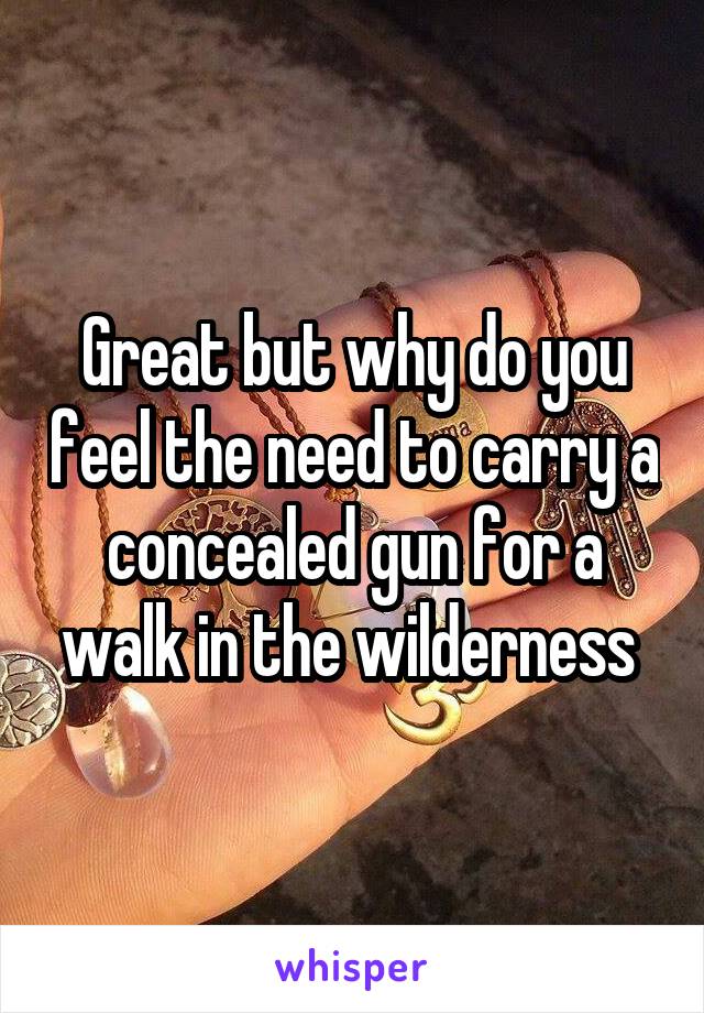 Great but why do you feel the need to carry a concealed gun for a walk in the wilderness 